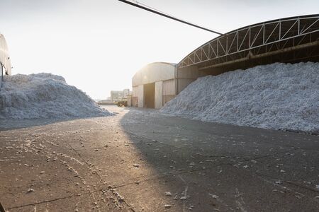 Piles of seed cotton in a ginning mill in Greece during harvesting seasonの写真素材