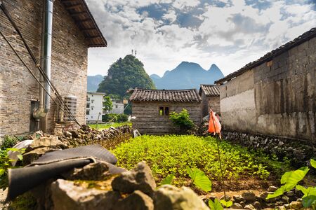 Vegetable garden in the backyard of a house in a farming village outside Yangshuo, Chinaの写真素材
