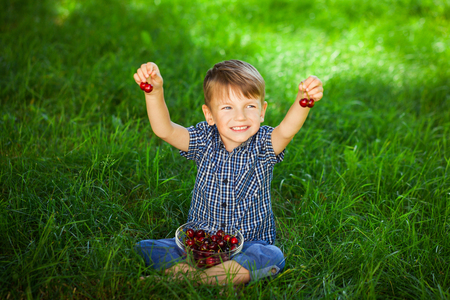 Happy little boy with ripe cherry berries in his hands on green grass background on a sunny summer day.の写真素材