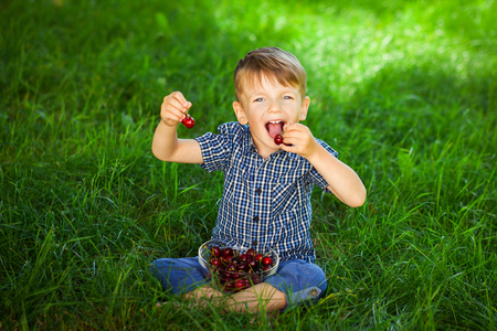 Happy little boy with ripe cherry berries in his hands sittng on green grass on a sunny summer day.の写真素材