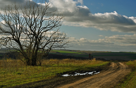 Srednerussky landscape, dead trees and the road leading to the templeの写真素材