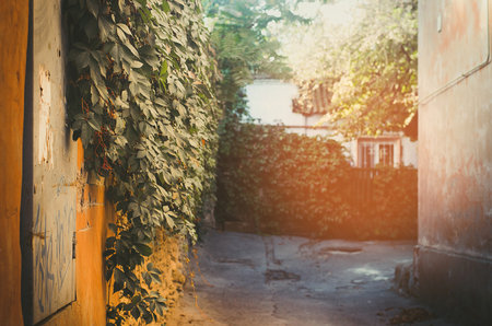 green wall, view of the courtyard, Kherson, old buildings

の写真素材