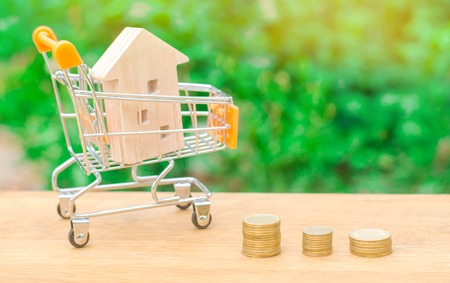 Wooden house in a Supermarket trolley. Property investment and house mortgage financial concept. buying, renting and selling apartments. real estate. saving moneyの写真素材