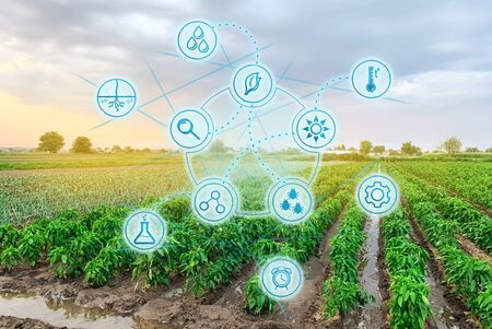 Scientific work and development of agriculture. High technologies and innovations in agro-industry....