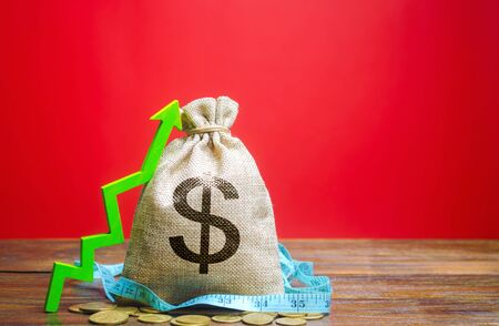 Money bag with coins and up arrow. The concept of a successful business. Increase profits and capital. Budget and income growth. Dollar, dollars. Measuring tapeの写真素材