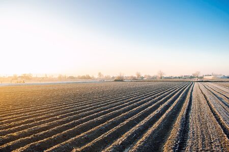 Winter farm field ready for new planting season. Agriculture and agribusiness. Preparatory agricultural work for spring. Choosing right time for sow fields plant seeds, protection from spring frosts.の写真素材