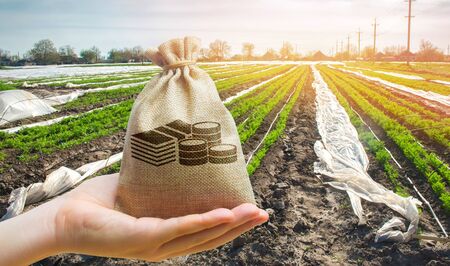 Money bag on the background of agricultural crops in the hand of the farmer. Agricultural startups. Profit from agribusiness. Lending and subsidizing farmers. Grants and support. Land value and rent.の写真素材