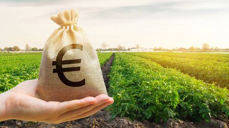 Money bag on the background of agricultural crops in the hand of the farmer. Agricultural startups. Profit from agribusiness. Lending and subsidizing farmers. Grants and support. Land value and rent.の写真素材