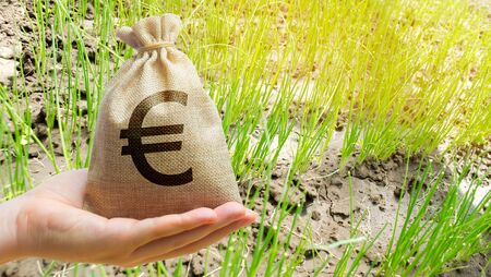 Money bag on the background of agricultural crops in the hand of the farmer. Agricultural startups. Profit from agribusiness. Lending and subsidizing farmers. Grants and support. Land value and rent.の写真素材