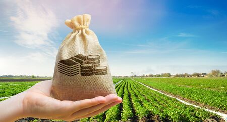 Money bag on the background of agricultural crops in the hand of the farmer. Agricultural startups. Profit from agribusiness. Lending and subsidizing farmers. Grants and support. Land value and rent.の写真素材