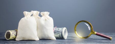 Clear money bags and magnifying glass. Financial monitoring of suspicious cash transactions. Search sources of financing projects. Profitable investment, dividends payouts. Reserve currencyの写真素材