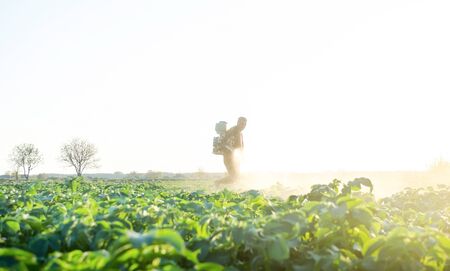 Farmer spraying plants with pesticides in the early morning. Protecting against insect and fungal infections. Agriculture and agribusiness, agricultural industry. The use of chemicals in agriculture.の写真素材