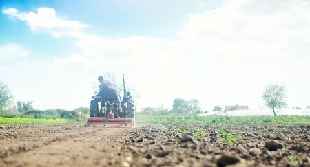 Farmer on a tractor with milling machine loosens, grinds and mixes soil. Farming and agriculture....