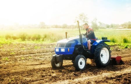 A farmer on a tractor works on the field. Cultivation technology equipment. Growing crops in a small...