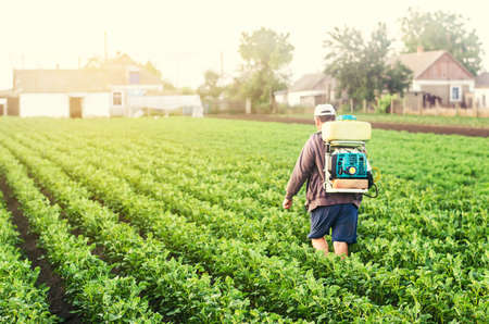 A farmer with a sprayer walks through the potato plantation. Treatment of the farm field against insect pests and fungal infections. Use chemicals in agriculture. Agriculture and agribusinessの写真素材