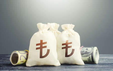 Turkish lira money bags and cash. National gold and foreign exchange reserve. Economy monetary policy. Capital Investments. Trade development. Financial resources, grants, project financing.の写真素材