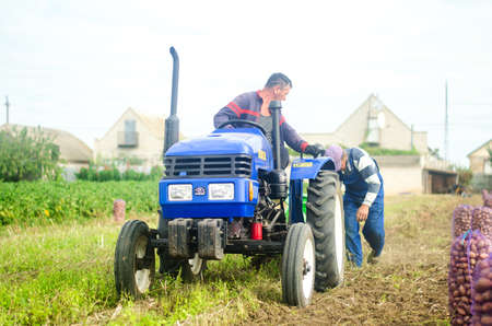 KHERSON OBLAST, UKRAINE - September 19, 2020: farm workers on a tractor dig out potatoes. Harvesting campaign. Farming and agriculture. Agribusiness and agro-industry. Attracting seasonal workersのeditorial素材