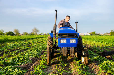 The farmer rides towards on farm field. Harvesting crops campaign, earthworks. Agro industry, agribusiness. Farming, agriculture. Harvesting potatoes in early spring. Countryside farmland.の写真素材