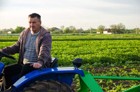 The farmer works in the field with a tractor. Harvesting crops campaign, earthworks. Agro industry,...