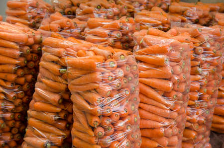 Bags with young fresh carrot prepared for sale. Freshly harvested carrots. Harvesting organic vegetables. Agriculture and farming. Selective focusの写真素材
