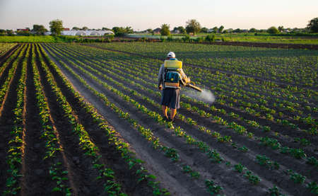A worker with a sprayer works in the field. Use of chemicals for protection of cultivated plants from insects and fungal infections. Agriculture and agro industry. Farm work. Pesticides and fungicidesの写真素材