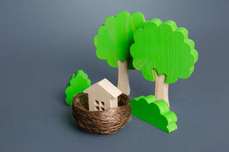 House in a nest in the forest. Eco housing, energy efficiency, zero carbon emissions. Building a house from natural environmentally friendly materials. Buying real estate. Engineering and design.の写真素材