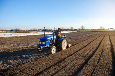 The tractor is cultivating the soil in the farm field. Softening and improving soil qualities. Farming. Agriculture agribusiness. preparing for cutting rows for the next sowing season in the spring.の写真素材