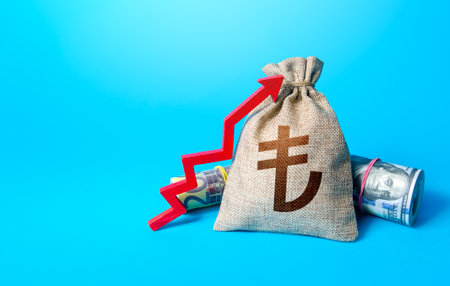 money bag and red up arrow. Economic growth, GDP. Rise in profits, budget fees. Increase in the deposit rate. Increase income and business efficiency. Inflation acceleration. Investments.の写真素材