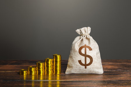 Dollar money bag and increasing stacks of coins. Savings and accumulation. Economic growth, GDP. Rise in profits, budget fees. Investments. Raise incomes, increase salaries. Financial success. Bonusの写真素材
