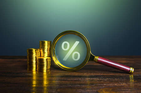 Photo pour Loan and interest. Money and finance, do business. Attract investments, get loans from banks. Debt restructuring. The discount rate of central bank. Cashback shopping bonus. Return on investment ROI. - image libre de droit