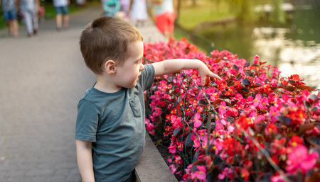 A cute toddler boy of two or three years touches pink flowers growing in a flower bed in a city park on a sunny summer day. Toddlerhood and childhood concept. Nature. Focus on flowersの写真素材