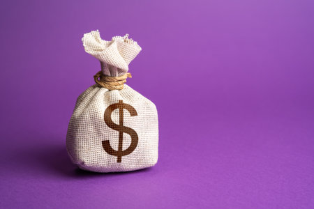 Dollar money bag. Deposits and savings. Loans and credits, mortgage. Economics and currency exchange, stock market. Funding and grants. Banks and finance. Investments, fundraising.の写真素材