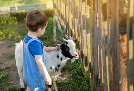Cute toddler boy two or three years old petting a goat. Friendship with the animal. Active leisure with children outdoors. Petting zoo. Sunny summer dayの写真素材