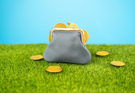 Wallet with coins on the grass. Savings and saving money. Save money, invest. Collect for retirement.の写真素材