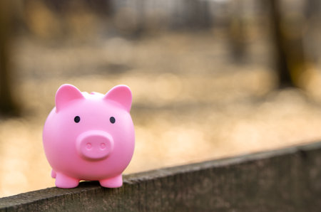 A pink piggy bank stands on the fence outdoor. Financial savings and business concept. Income, budget and profit of the company.の写真素材
