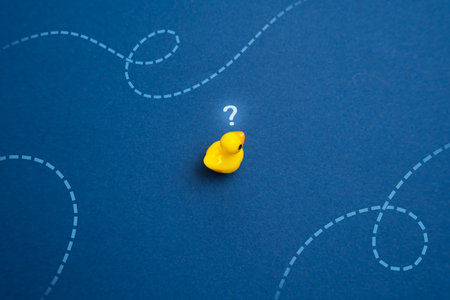 Yellow duck thinks where to swim. Concept of navigation and making plans for the future. Find your purpose in life and when choosing a profession. Search for new ideas and goals.の写真素材