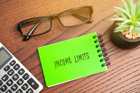 Income limits concept. Income thresholds set by organizations or governments to determine...