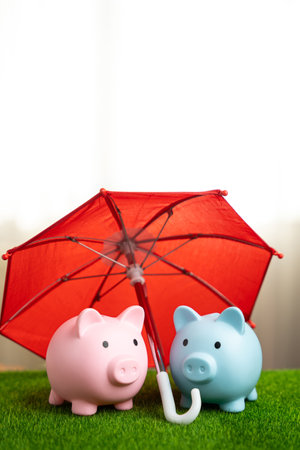 Two piggy banks of two genders under an umbrella. Concept of family insurance, finances and savings.の写真素材