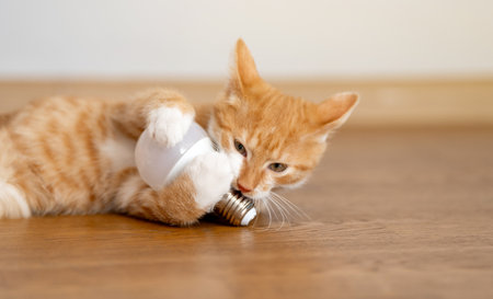 Domestic ginger cute kitten plays with lamp. Home comfort, electricity.の写真素材