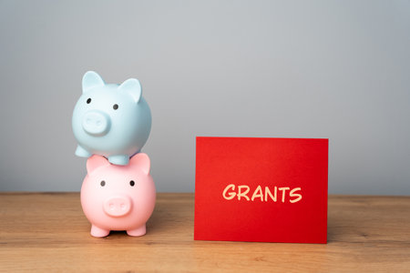 Grants concept. Non-repayable funds provided by governments, organizations, or institutions to individuals, businesses for specific purposes, such as education, research, or community development.の写真素材