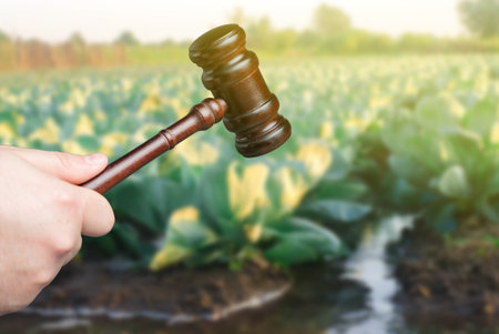 Judge's gavel in the backdrop of agricultural plantations. Agricultural land disputes, environmental regulations and cases agribusiness. farming industry and courtの写真素材