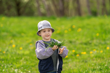 A caucasian happy cute toddler boy of three years old holds fresh green grass in his hands while standing in a flower meadow of dandelions. Childhood and nature.の写真素材