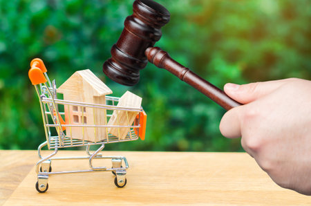 \Wooden houses in supermarket trolley and the judge's hammer. Real estate court decisions. Property inheritance litigation. Establishment of ownership. Probateの写真素材