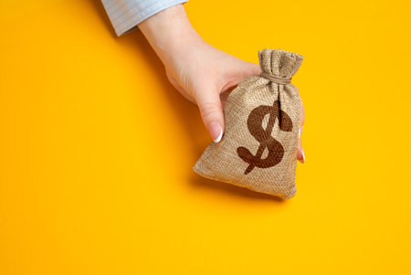 A hand holds out a dollar money bag. Concept to earn income. To receive salary or payments. To pay or to buy. To donate funds to charity. Financial gain and support, income opportunities.の写真素材