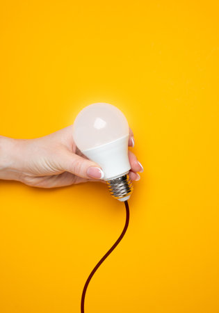 Hand holds a light bulb idea with a wire. Metaphor of a sweetheart as a flower that is about to be...