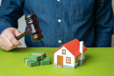 Real estate auction, property valuation, legal disputes, housing market risks, investment decisions, buyer protectionの写真素材