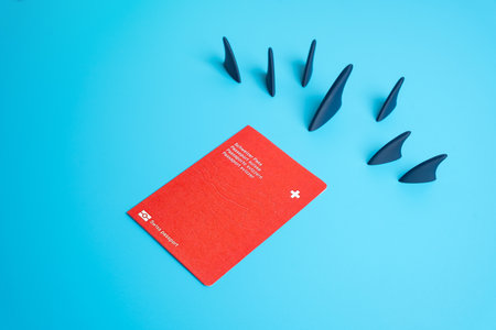 The pursuit of Swiss citizenship. High requirements and bureaucracy for residence. Immigration policy, European migration trends, and citizenship challenges.の写真素材