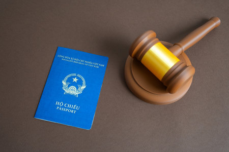Vietnamese passport and judge's gavel. Court and protection of the rights of citizens. Visa...