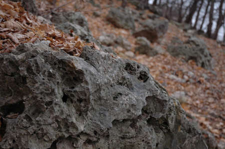 Millions of years ago, almost the entire territory of the modern Samara region was hidden under the...