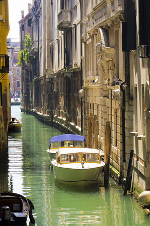 Veniceのeditorial素材